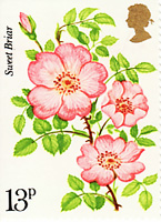 1193116678