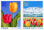 tulip tulip